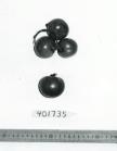 FRUIT